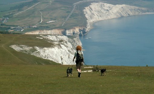 Dogs on holiday Isle of Wight